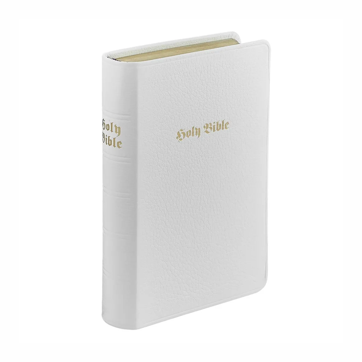 Levenger Books*The Holy Bible